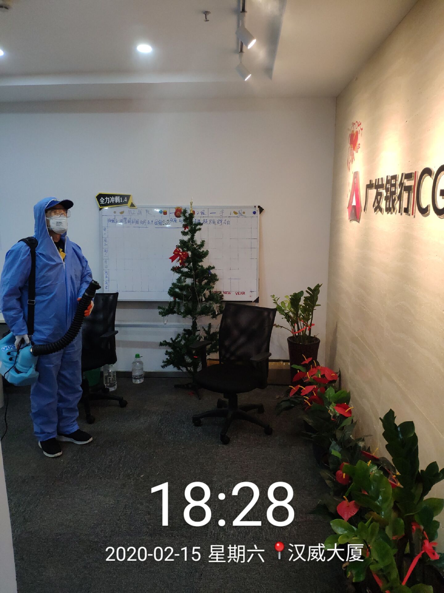 貓舍犬舍以及養(yǎng)寵家庭的日常消毒打聽北京室內(nèi)消毒公司多少錢一平米？